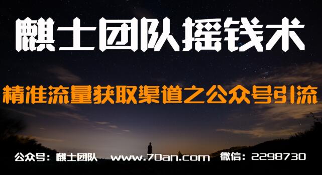 麒士团队摇钱术29:精准流量获取渠道之公众号引流【视频课程】