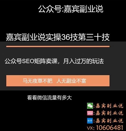 嘉宾副业说实操36技第三十技:公众号SEO矩阵卖课,月入过万的玩法实操