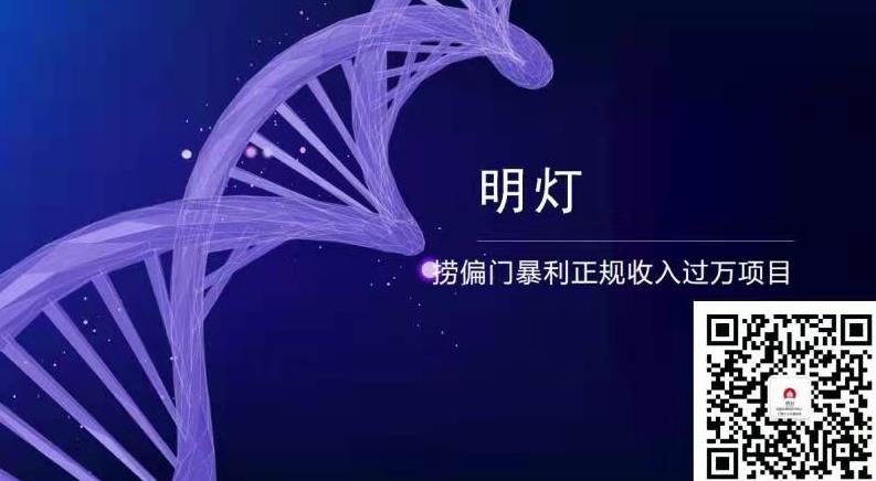 明灯副业三十六条小妙招之第27招捞偏门暴利正规收入过万项目