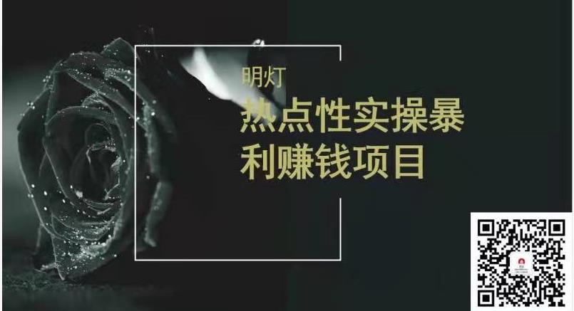 明灯副业三十六条小妙招之第21招热点性赚钱项目