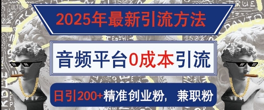 2025年最新引流方法,音频平台0成本引流,日引200+精准创业粉