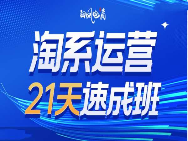 淘系运营21天速成班35期,年前最后一波和2025方向