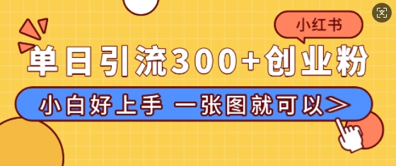小红书单日引流300+创业粉,“简单粗暴”引流法,小白好上手,私信回不完