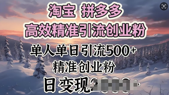 淘宝拼多多高效精准引流创业粉，单人单日引流500+创业粉，日变现多张