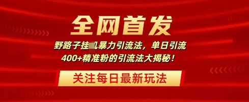 全网首发,野路子暴力引流法,单日引流400+精准粉的引流法大揭秘
