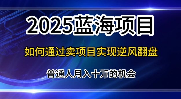 2025蓝海项目,普通人如何通过卖项目实现逆风翻盘,月入10个【揭秘】