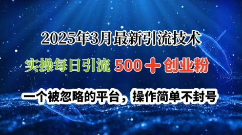 2025年3月最新引流技术,实操每日引流500+创业粉,一个被忽略的平台,操作简单不封号