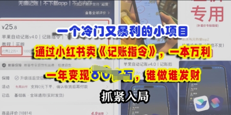 一个冷门需求，通过小红书卖《记账指令》，一本万利，谁做谁发，抓紧入局