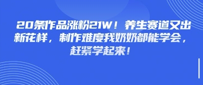 20条作品涨粉21W！养生赛道又出新花样，制作难度我奶奶都能学会，赶紧学起来