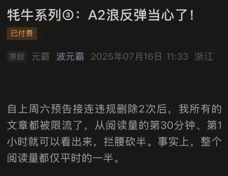 波元霸250716付费文 牦牛系列3：A2浪反弹当心了