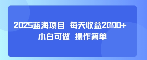 2025蓝海项目 每天收益多张 小白可做 操作简单