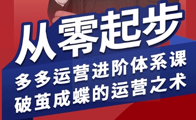 海神·拼多多运营进阶系统课，从零起步，多多运营进阶体系课，破茧成蝶的运营之术